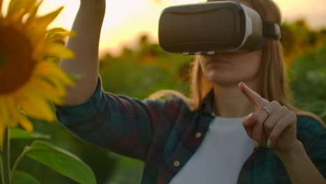 A-young-woman-uses-VR-glasses-on-the-field-with-sunflowers-in-sunny-day.-These-are-modern-technologies-in-summer-evening.